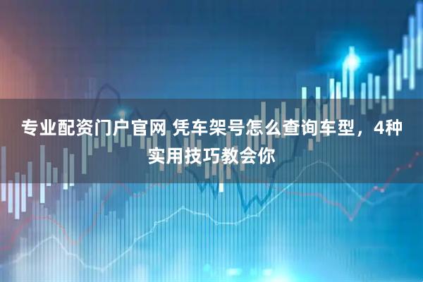 专业配资门户官网 凭车架号怎么查询车型，4种实用技巧教会你