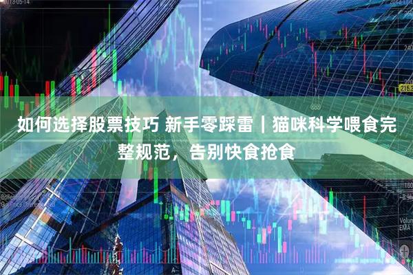 如何选择股票技巧 新手零踩雷｜猫咪科学喂食完整规范，告别快食抢食